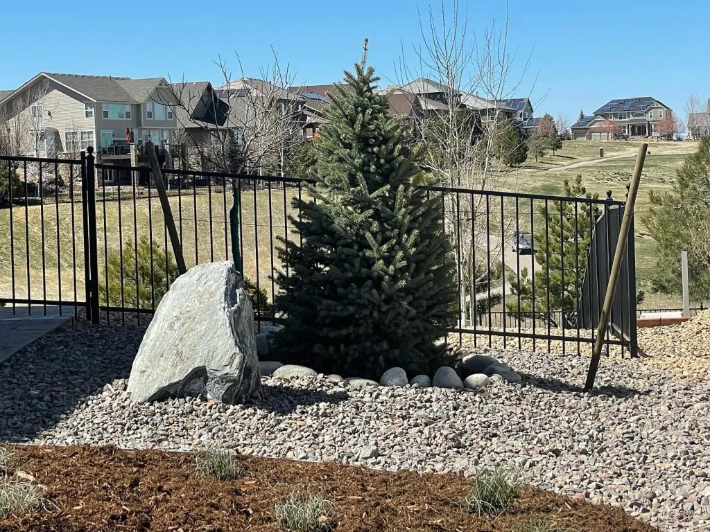 Contact HLE Landscaping & Concrete | Aurora, CO Landscaping Experts